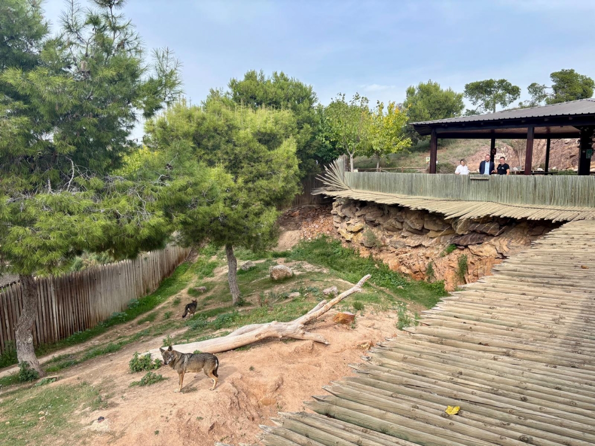  - Foto: AYTO. MURCIA