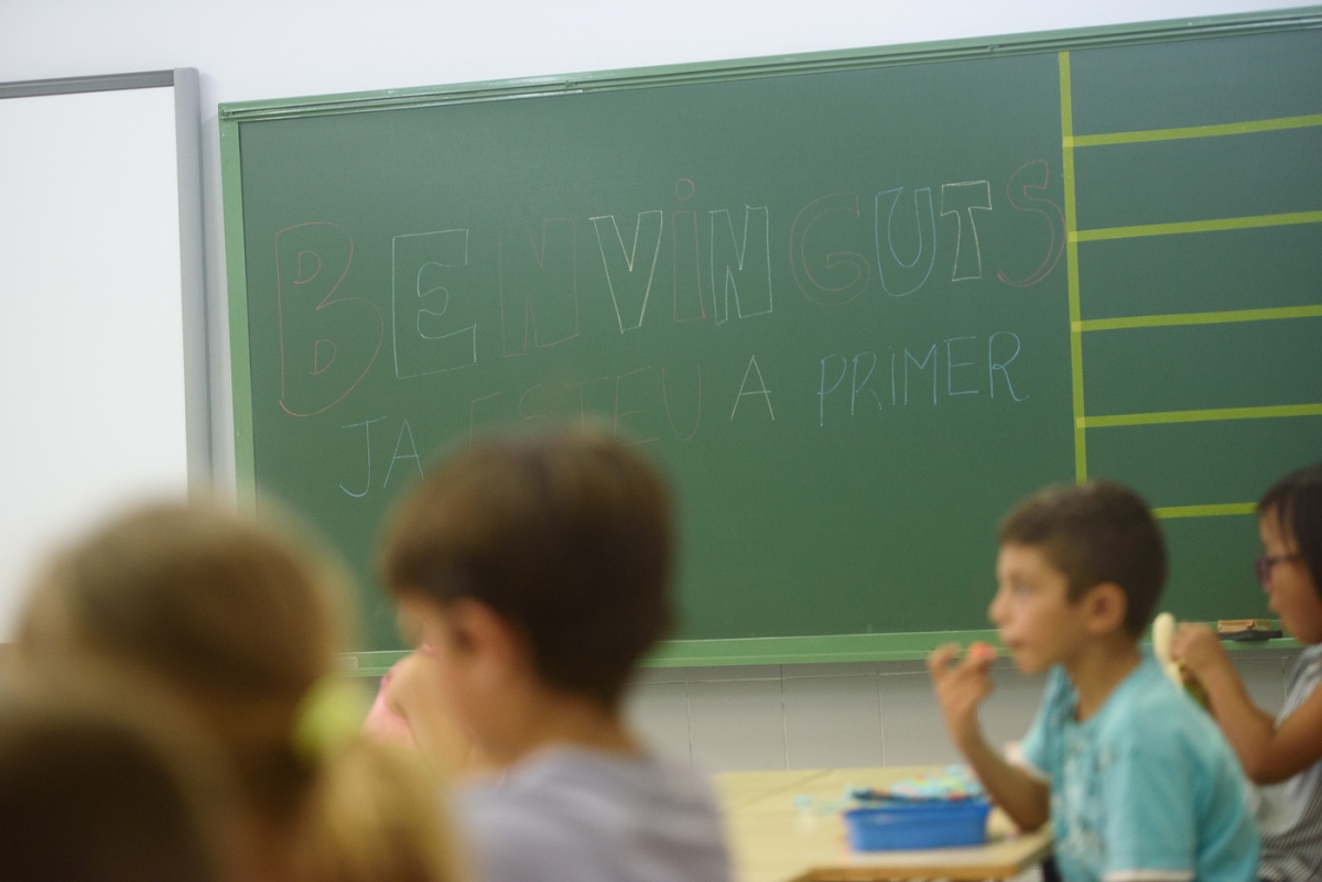 Educación adjudica 238 plazas de docentes para atender al alumnado con necesidades específicas de apoyo