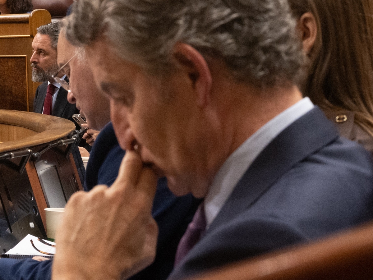 Feijóo y al fondo Abascal, en el Congreso. - Foto: EP/EDUARDO PARRA Feijóo y al fondo Abascal, en el Congreso.