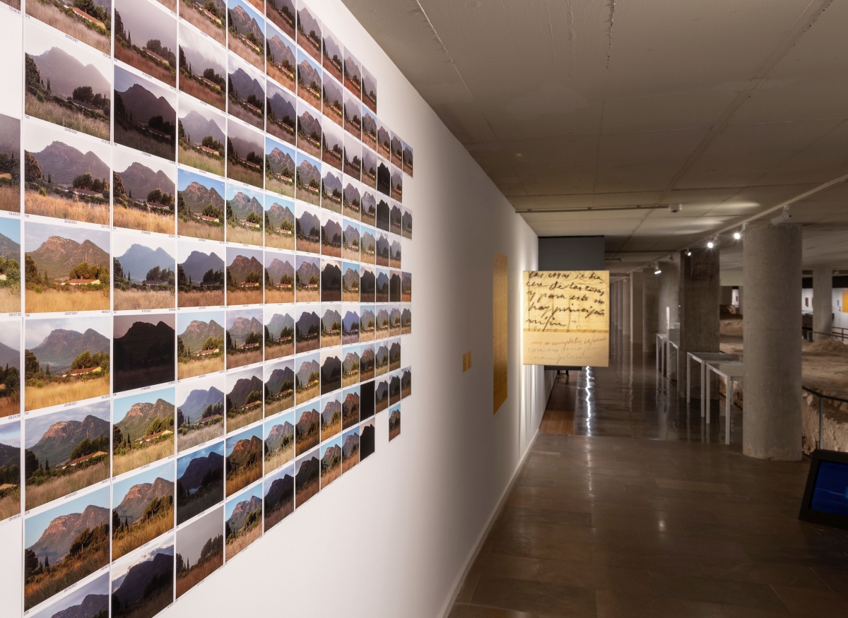 Manuel Bellver propone una 