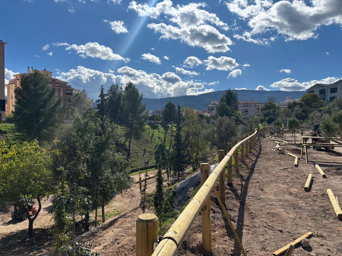 Alcoy tendrá un bosque urbano en La Vaguada con especies autóctonas y fácil accesibilidad
