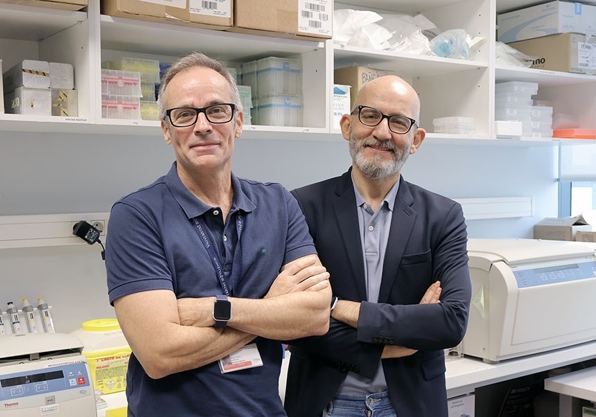 Investigadores de la UV y el IIS La Fe revelan un nuevo mecanismo metabólico implicado en la resistencia a tratamientos para el cáncer de pulmón