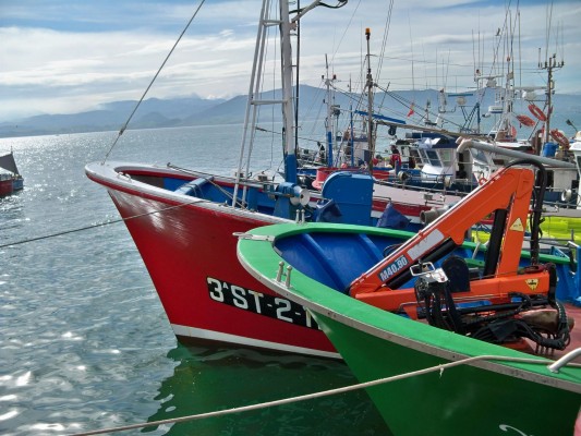 El Gobierno reparte todos los días de pesca para la pesca de arrastre en el Mediterráneo