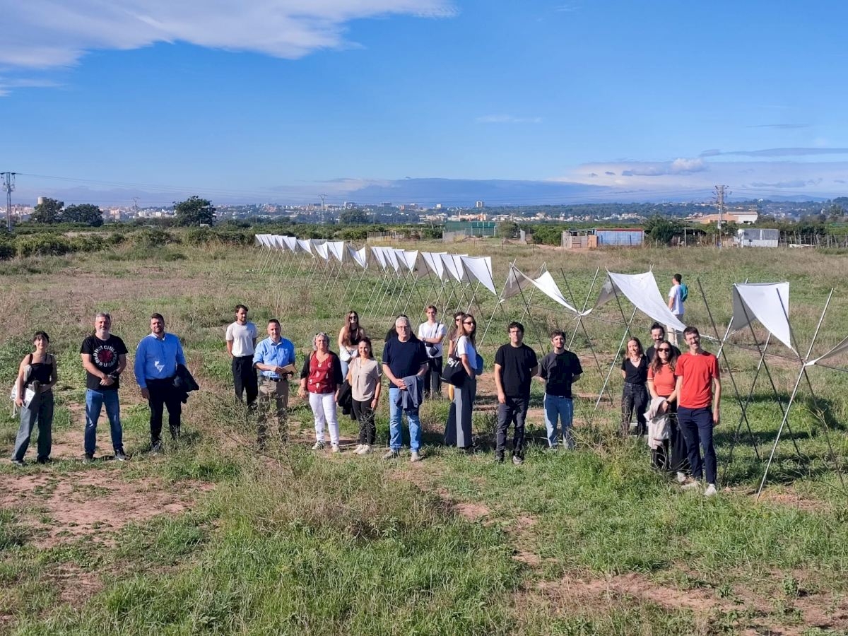 La cultura que planta arbres i idees: València davant el repte climàtic
