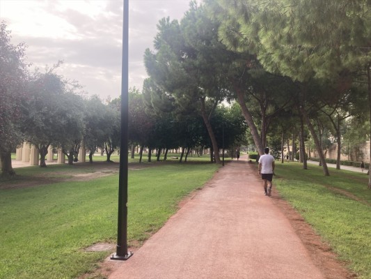València mejorará la iluminación del Jardín del Turia para reforzar su seguridad
