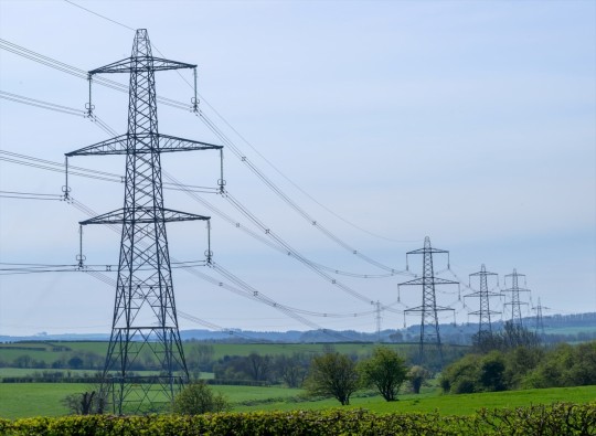 Energyworks Cartagena reduce un 15% la producción y baja su beneficio hasta los 10 millones, un 30% menos