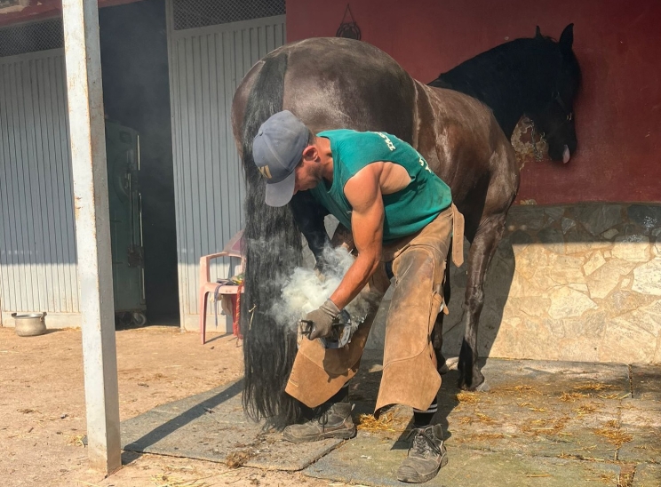 Les Coves de Vinromà reivindica la continuÏtat de l'ofici de ferrador de cavalls