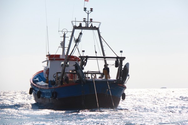 La pesca de la Región se 'ilusiona' con la Navidad y 2026: 