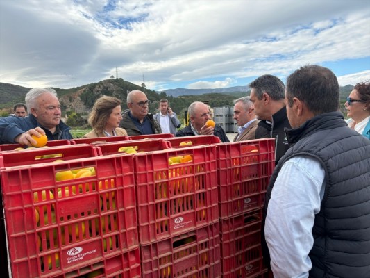 Miguel Barrachina destaca el compromiso con las cooperativas agroalimentarias para impulsar la competitividad