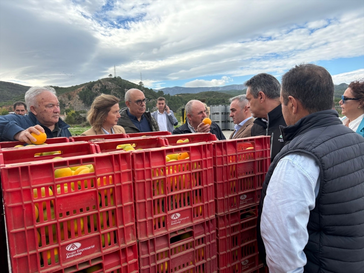 Miguel Barrachina destaca el compromiso con las cooperativas agroalimentarias para impulsar la competitividad