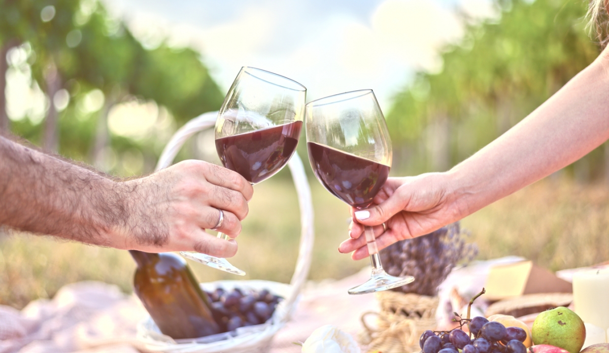 Volver a las raíces