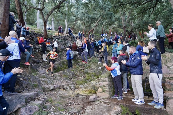 La Diputación ensalza la fuerza y el coraje de los 646 participantes de la Marató dels Dements