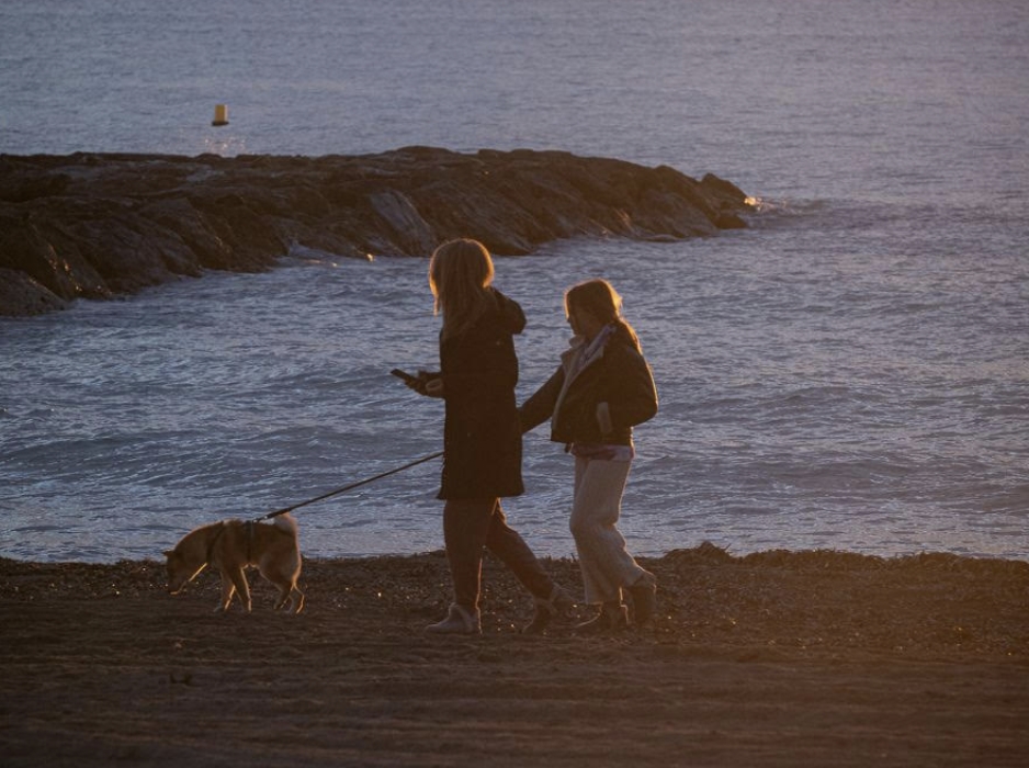 Benicàssim autoriza el acceso de los perros a las playas de la localidad tras la temporada estival 