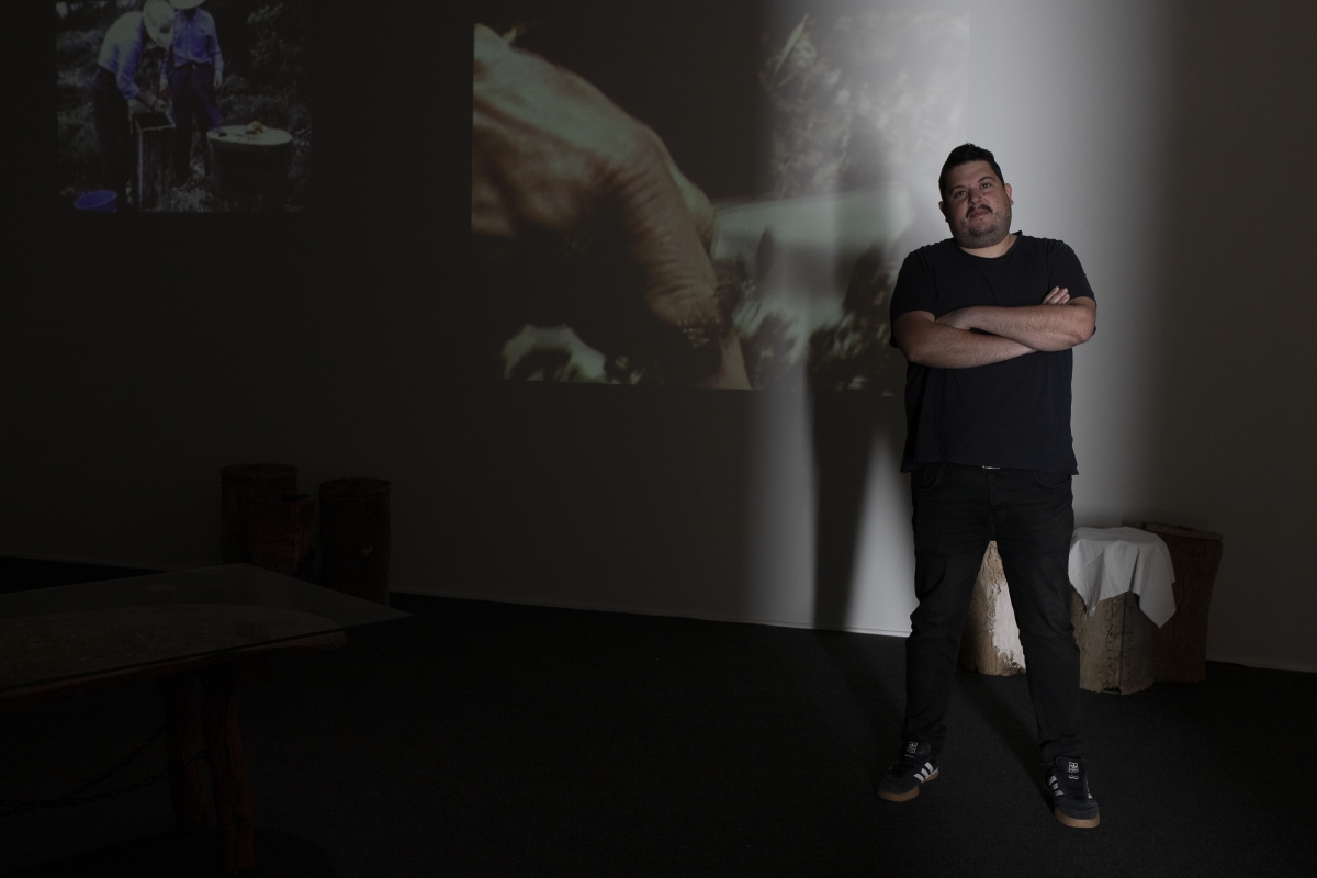 Fermín Sales i una mirada cap al món rural: 