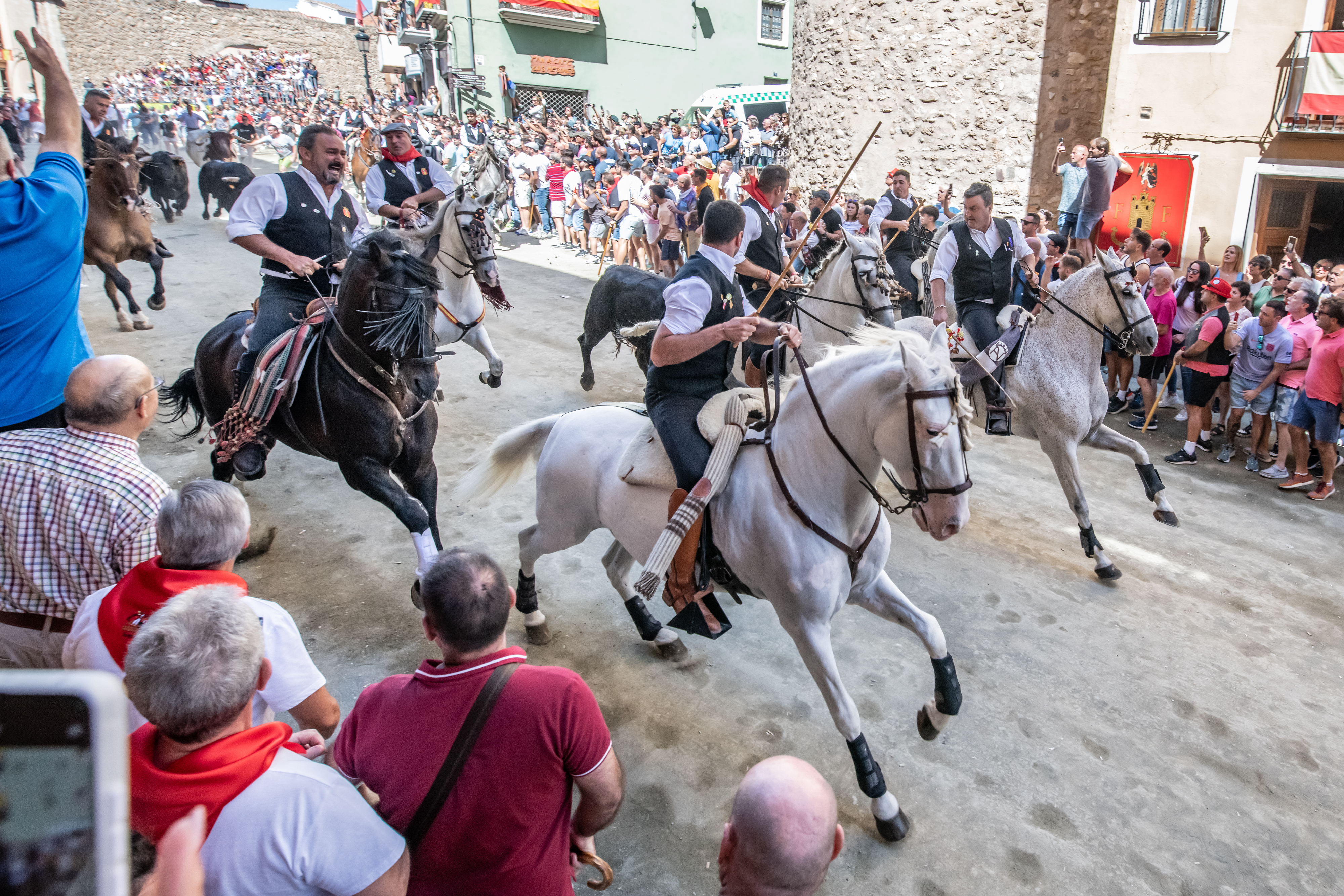 Segorbe cierra la semana con una última y rápida Entrada de Toros y Caballos 