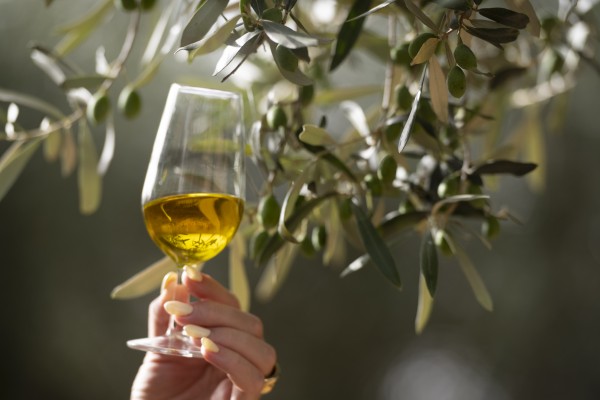 La Diputación de Castellón promocionará los productos de Ruta de Sabor el Día de la Provincia