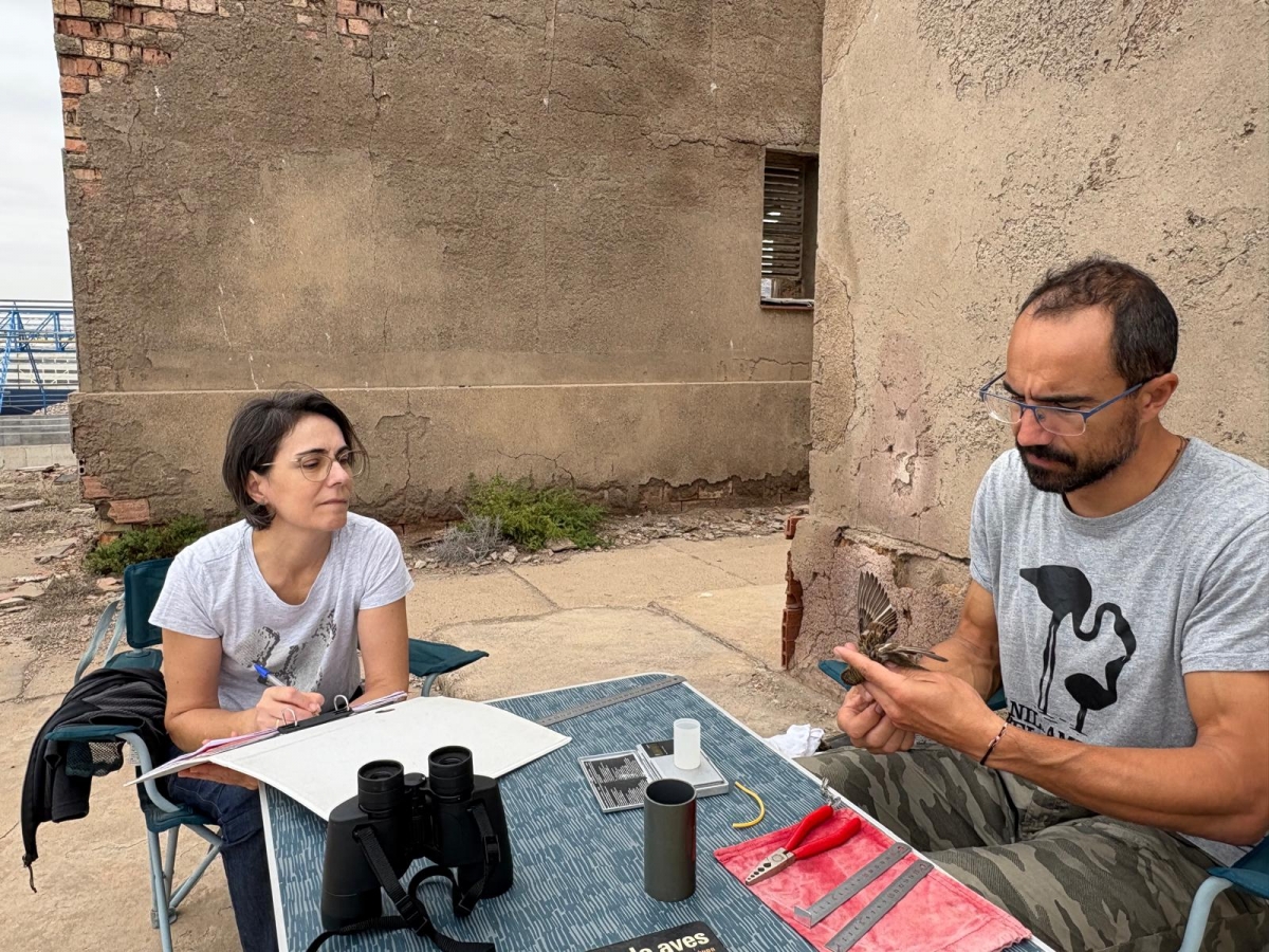 La Autoridad Portuaria de Cartagena anilla 166 aves de 16 especies en la Isla de Escombreras