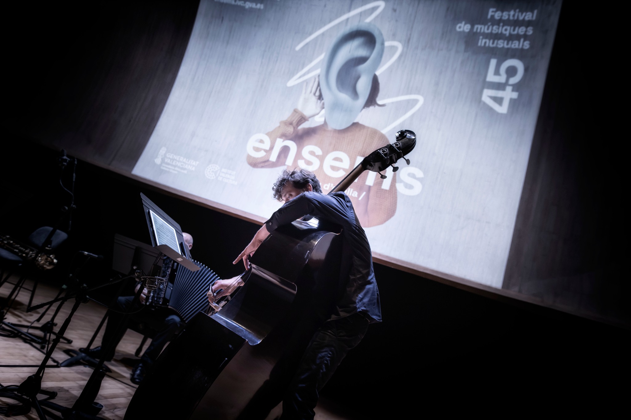 Foto: FESTIVAL ENSEMS - 