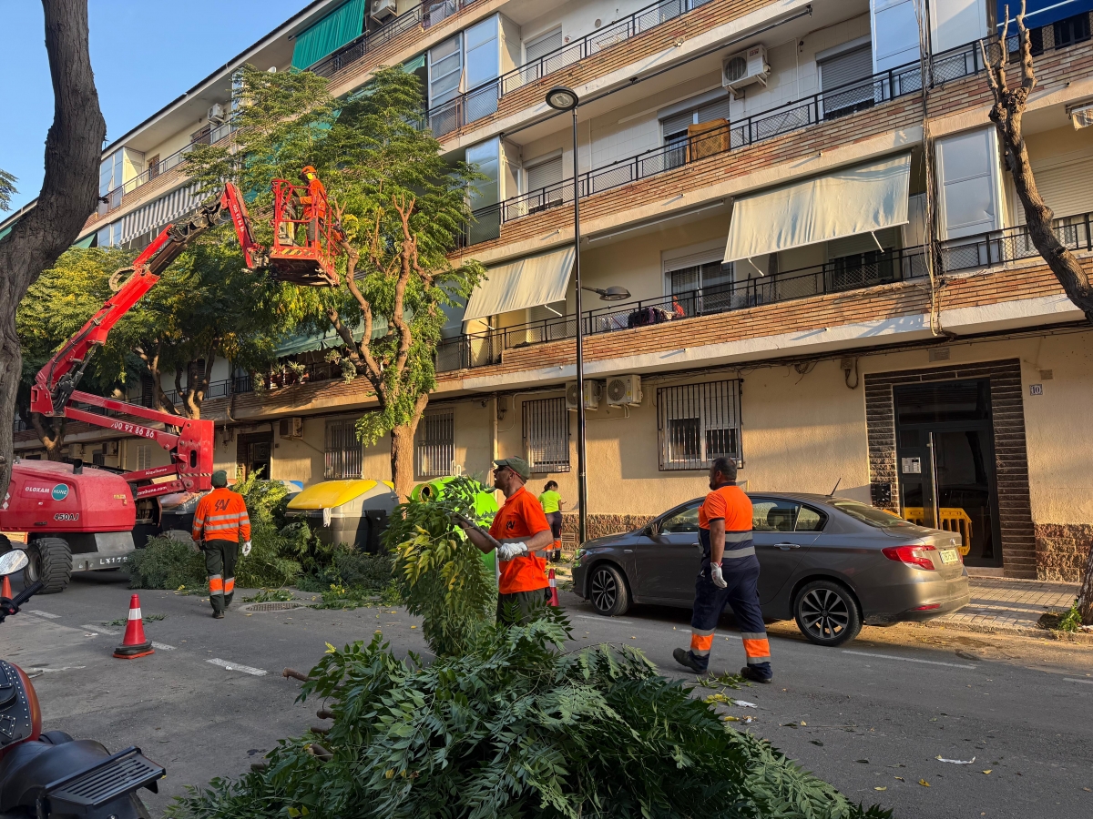 Trabajos de mantenimiento en la vía pública en Alfafar. - Foto: AYUNTAMIENTO DE ALFAFAR