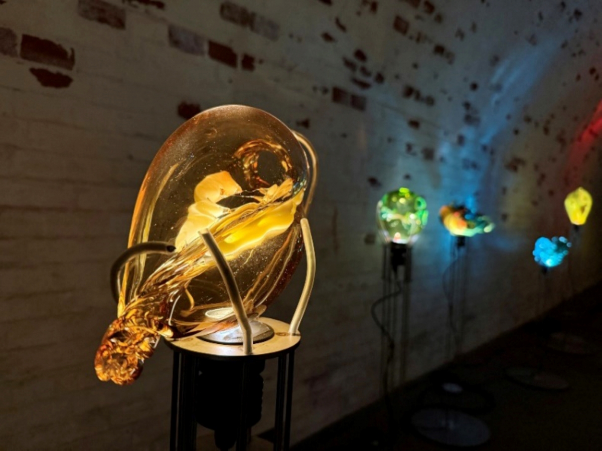 El IVAM se rediseña desde dentro: 