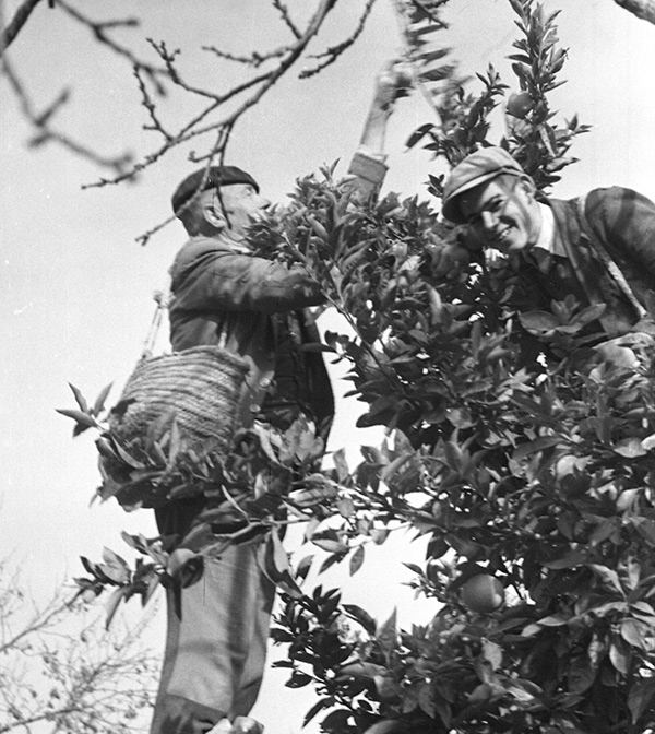  - Foto: MUSEO PEDRO CANO