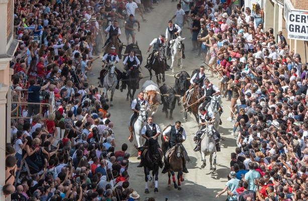 La sexta Entrada de Toros y Caballos de Segorbe transcurre de forma rápida y con mucho público