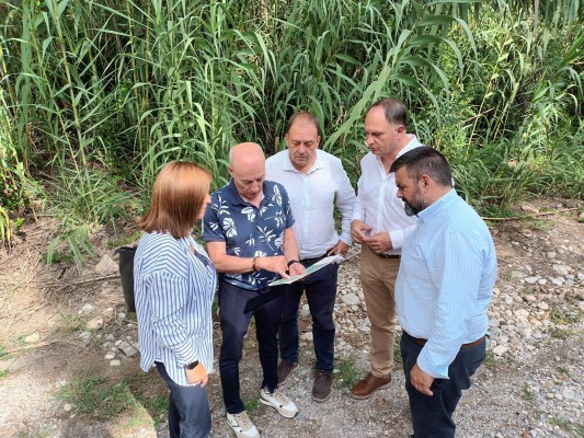 Toga traslada a Medio Ambiente la necesidad de limpiar los cañares que invaden el cauce del Millars