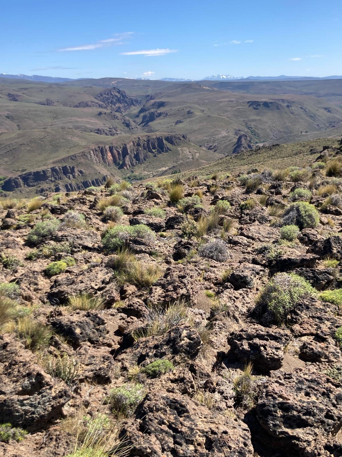 Zona árida en la Patagonia argentina.. - Foto: José Antonio Sánchez-Zapata Zona árida en la Patagonia argentina..