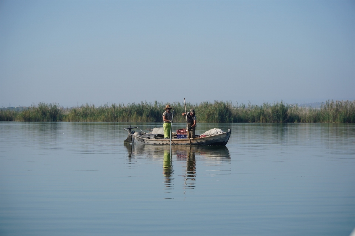 La CHJ pone a disposición de l'Albufera los excedentes hídricos del sistema Júcar desde la presa de Tous