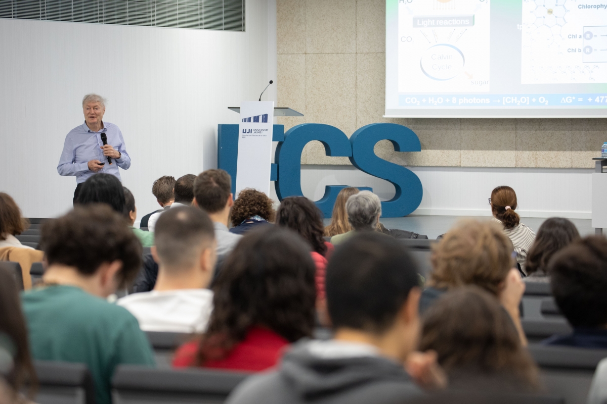 Más de 100 especialistas en materiales avanzados se reúnen en el INAM-UJI en su décimo aniversario