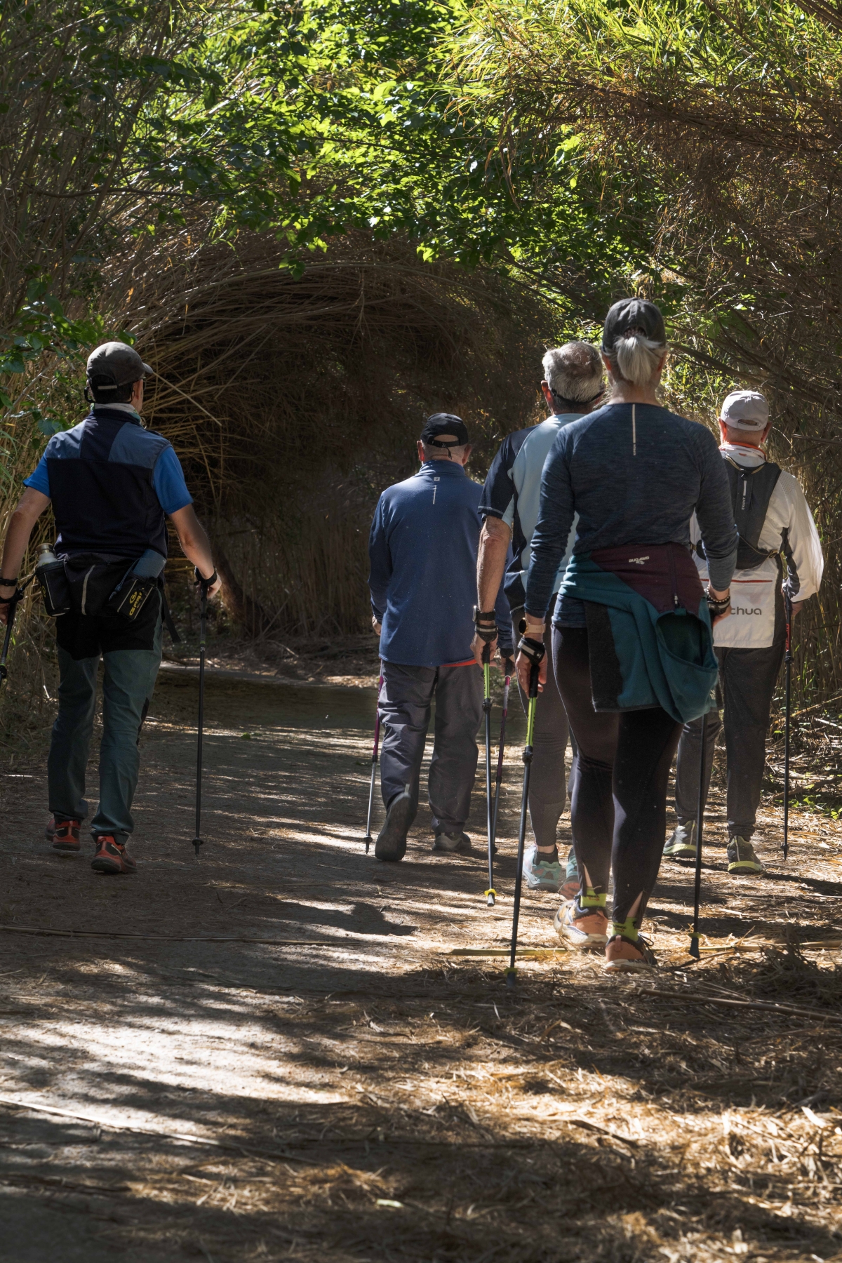 Actividades turísticas organizadas por la Mancomunitat del Camp de Túria. - Foto: MANCOMUNITAT CAMP DE TÚRIA