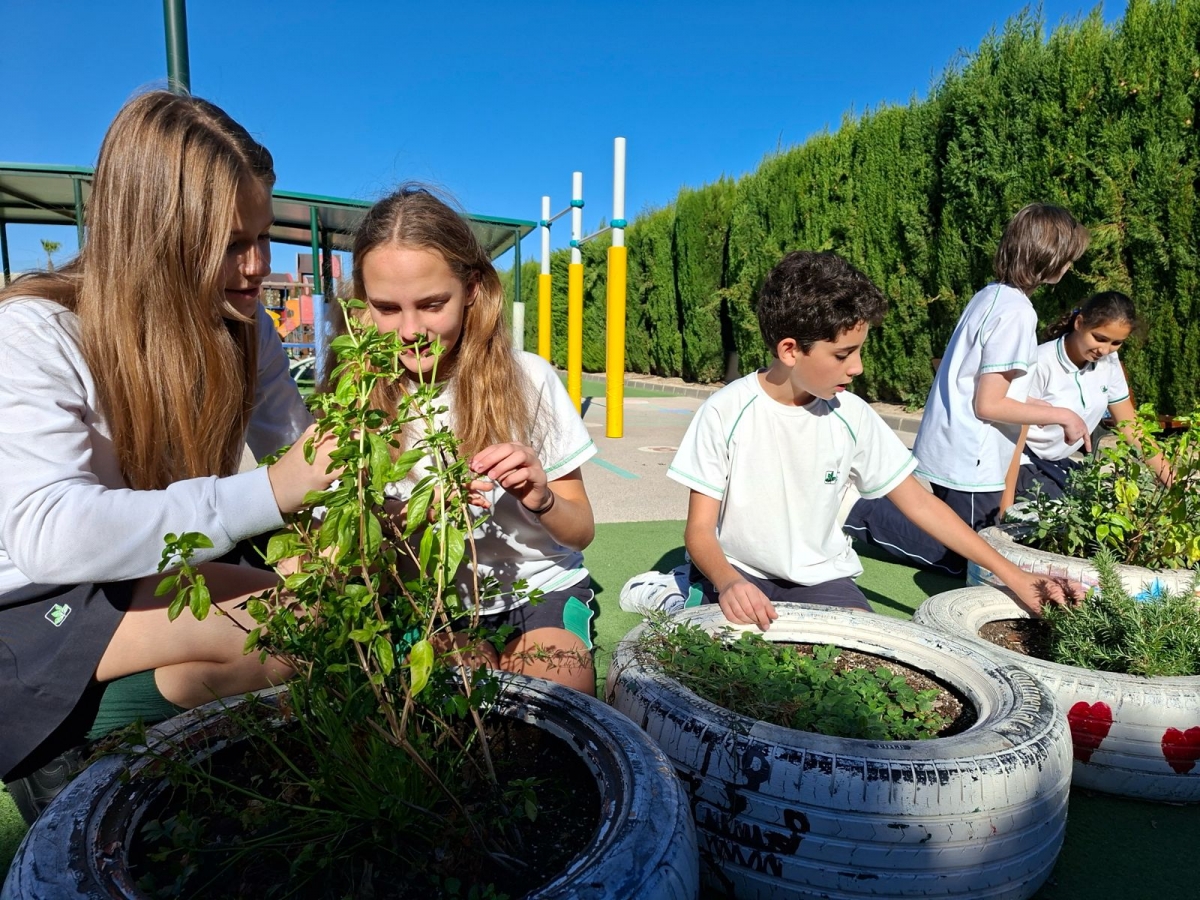 Alumnos de Alicante toman la iniciativa para combatir el cambio climático desde las aulas
