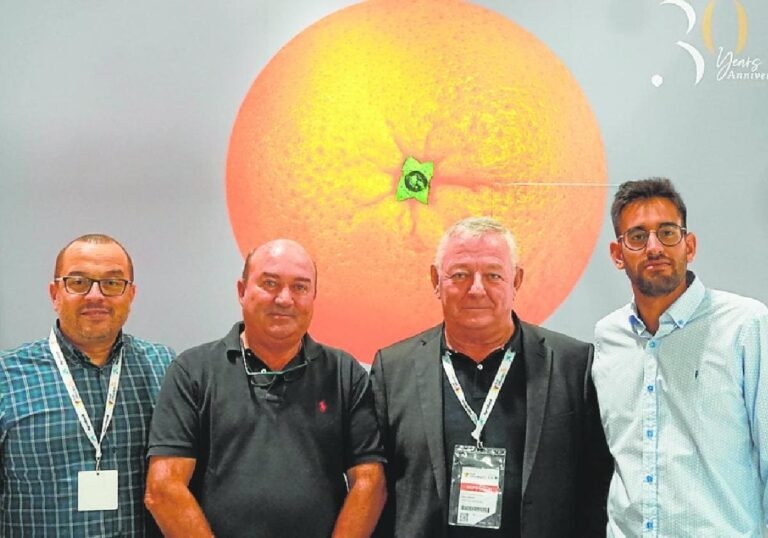 La murciana Hispa Group entra en concurso y busca un inversor para esquivar la liquidación