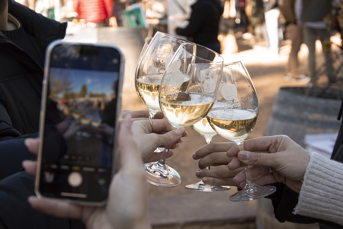 22 de noviembre Terres de Tardor: el tastavins de «boutique» de Terres dels Alforins
