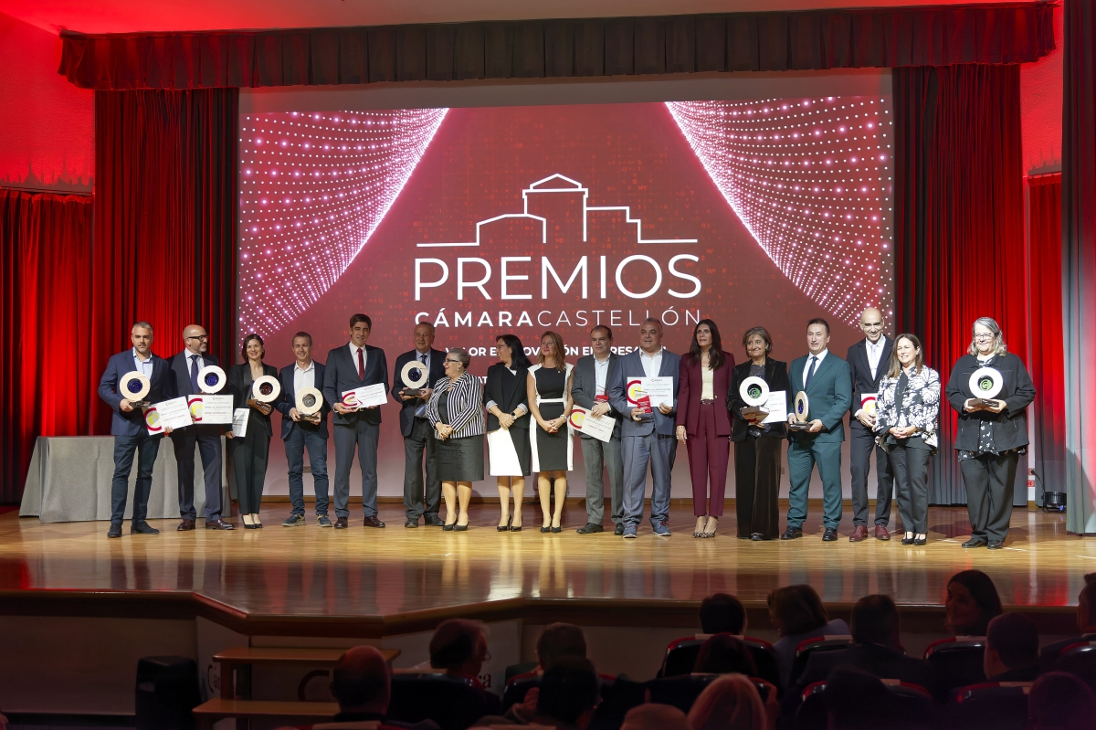 Los Premios Cámara 2024 celebran la fortaleza del tejido empresarial de Castellón y galardonan a Fernando Roig por su trayectoria