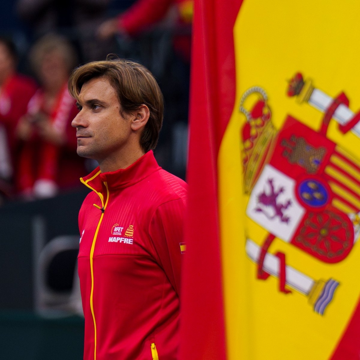 David Ferrer: 
