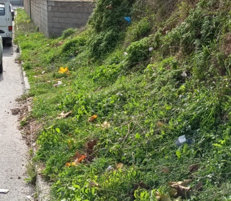 Malestar en el área industrial El Castellar de Alcoy: reclaman medidas ante la acumulación de suciedad 