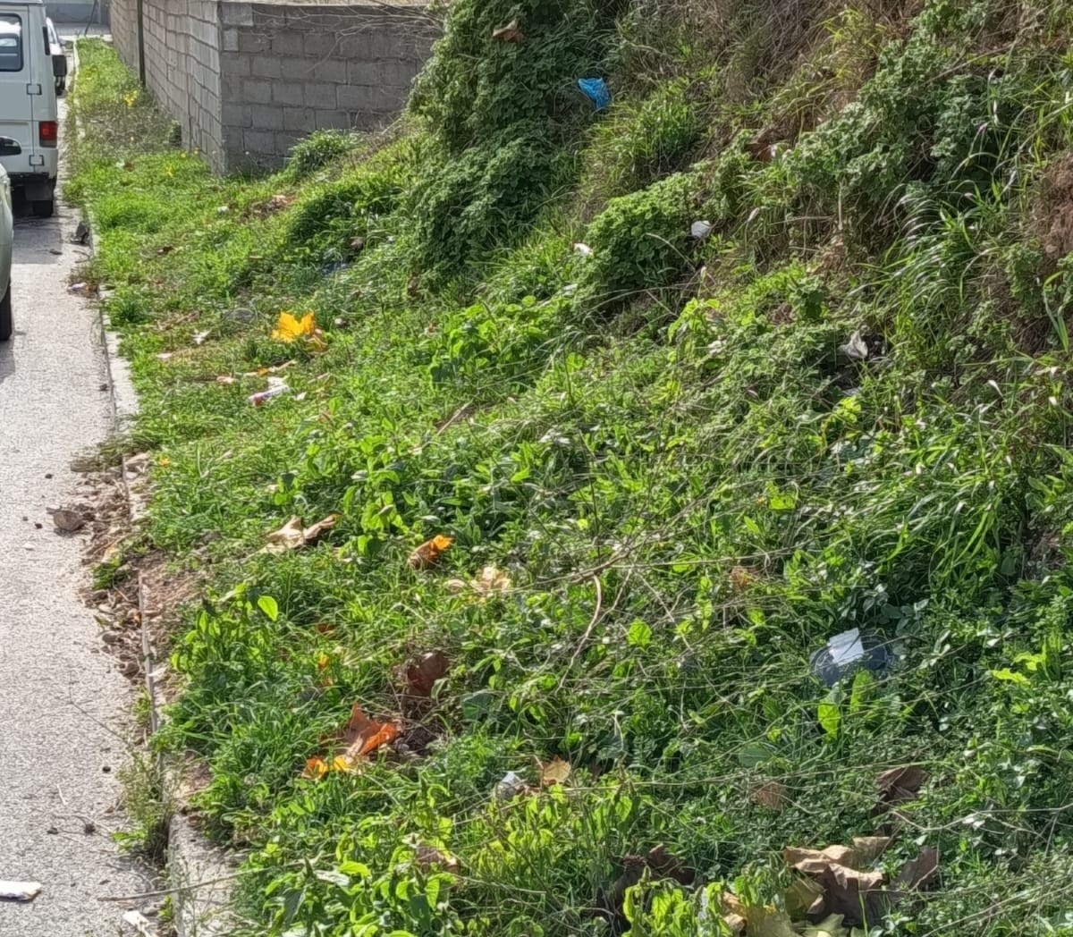 Malestar en el área industrial El Castellar de Alcoy: reclaman medidas ante la acumulación de suciedad 