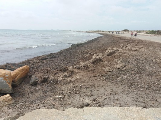 Visto bueno al acondicionamiento de la playa de La Llana, en San Pedro del Pinatar