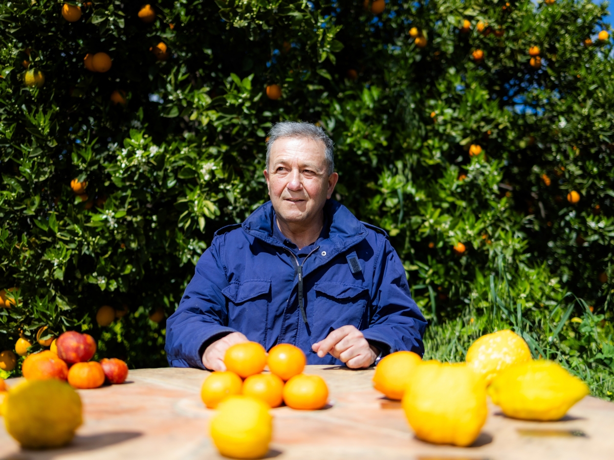 Todolí: así ideó el pope del arte su defensa del territorio valenciano 