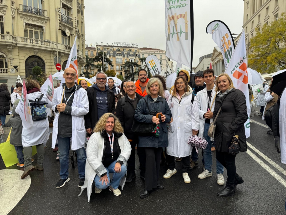 Médicos de Castellón reclaman en Madrid un estatuto marco justo para la profesión médica 