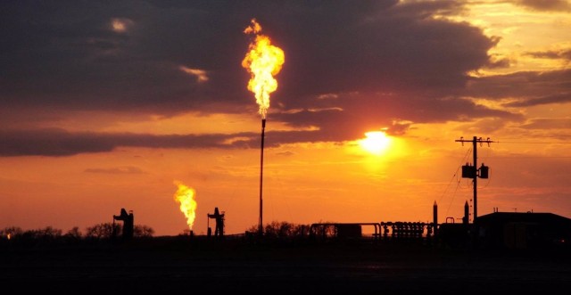 Expertos advierten de que el cambio climático y la deforestación ponen en riesgo la seguridad del ser humano

