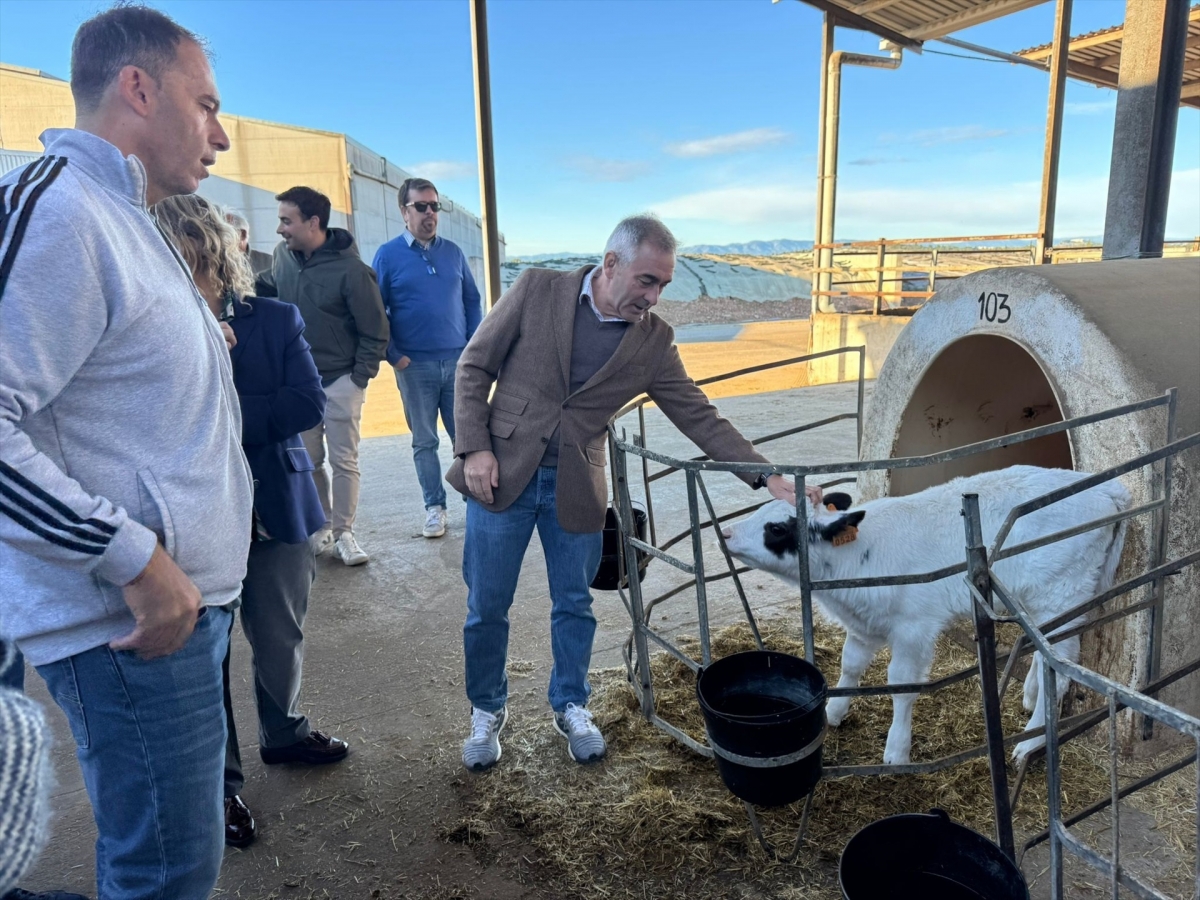 Agricultura recibe 179 solicitudes para ganadería en las ayudas para jóvenes y nuevos agricultores
