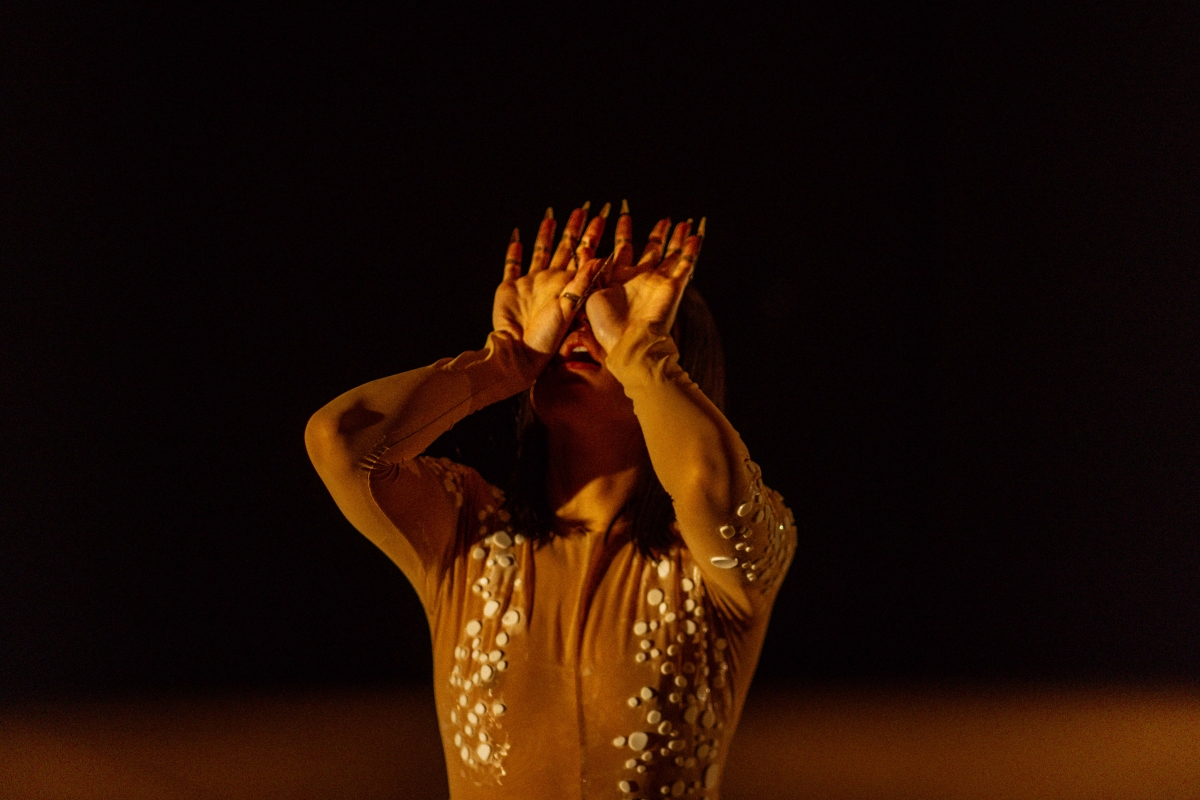 La danza intensa y visceral de la Premio Nacional Janet Novás llega a València