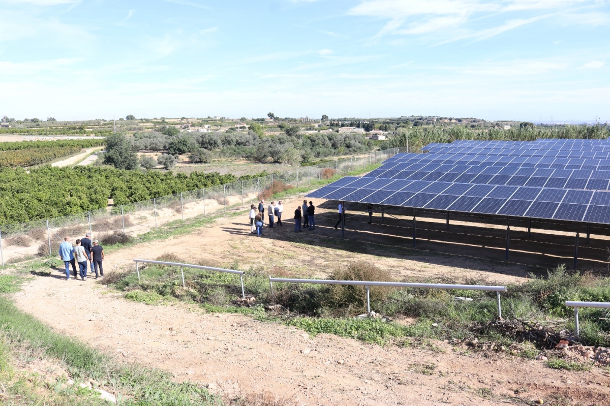 La agrovoltaica aterriza en Castellón: impulsan la primera prueba piloto en cítricos de Vila-real