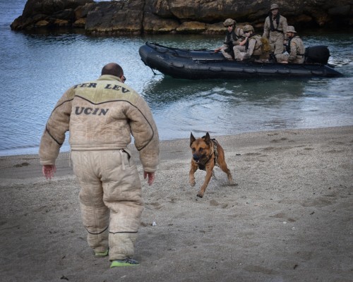 CANEX 02/25: estrategia, técnicas y perros de élite se unen en un simulacro avanzado en Cartagena