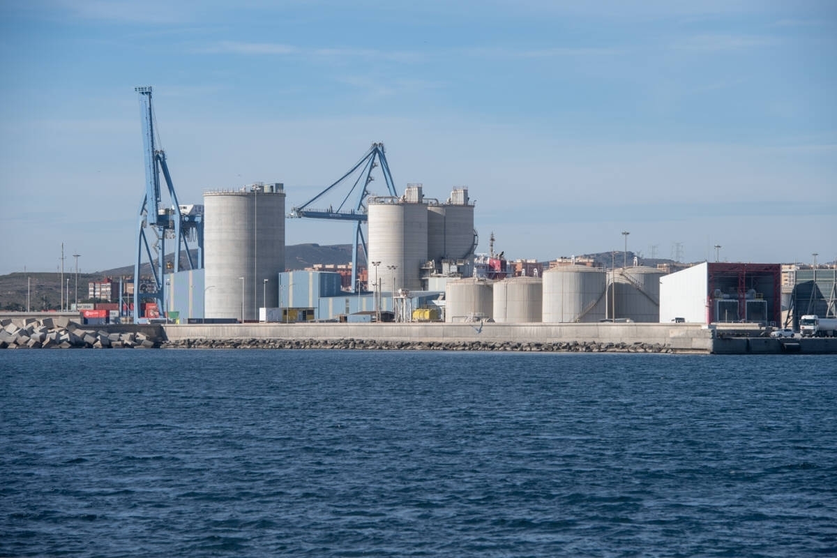 Los depósitos instalados en la actualidad en la terminal de mercancías del Puerto. - Foto: RAFA MOLINA Los depósitos instalados en la actualidad en la terminal de mercancías del Puerto.