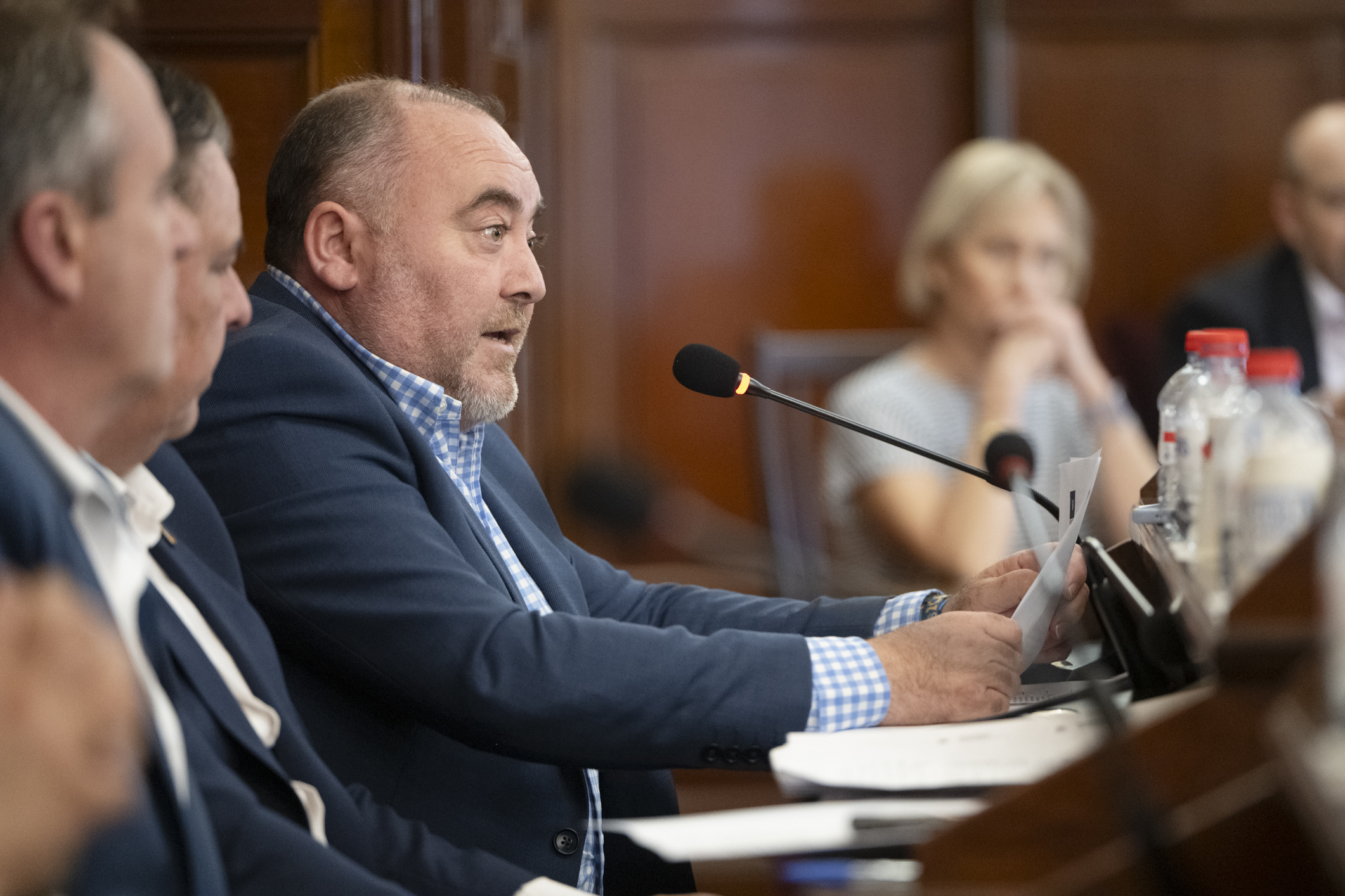 Vicente Pallarés. Diputación de Castellón - 