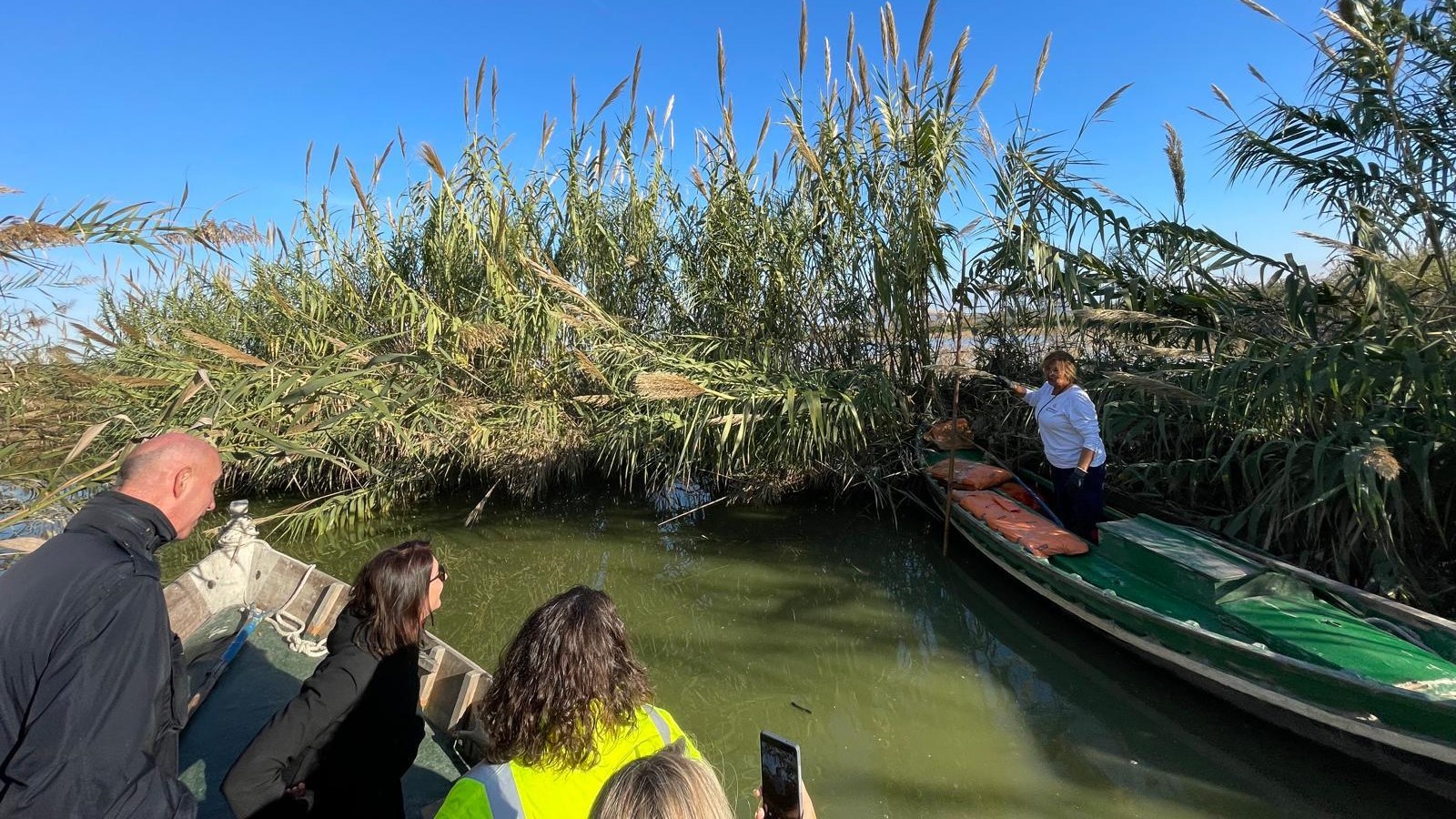 Ecologistas y sindicatos rechazan privatizar la gestión ambiental de la Devesa-Albufera por riesgo de 