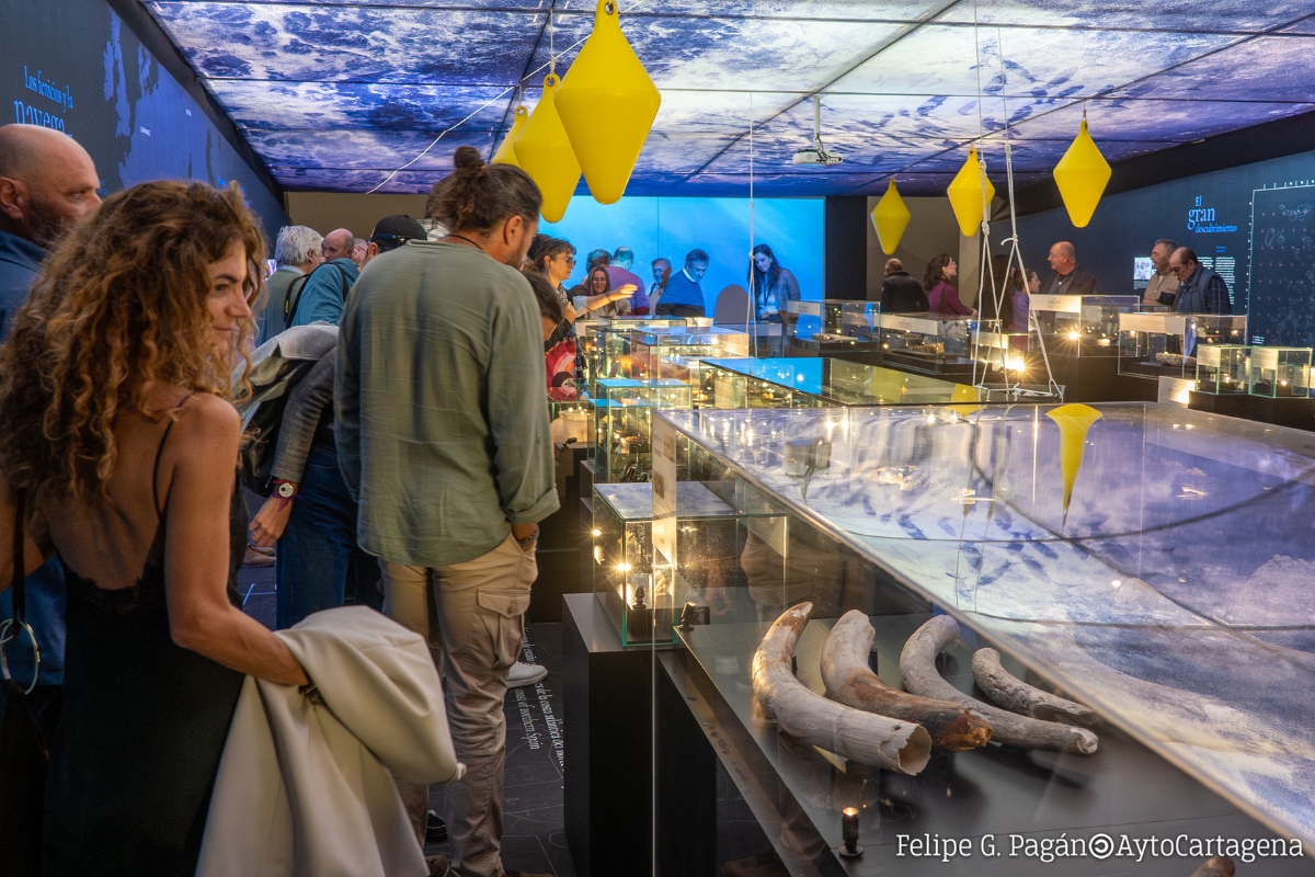 A bordo de un barco fenicio: el ARQVA de Cartagena expone por primera vez toda la carga del pecio 'Bajo de la Campana'